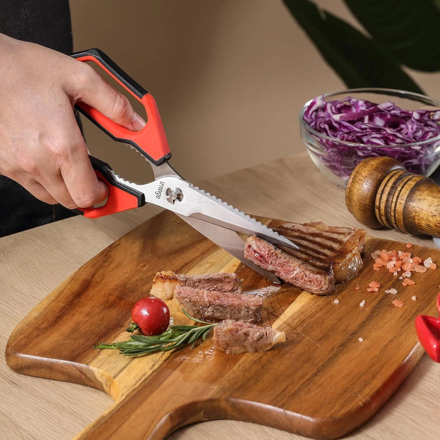 LIVINGO Forbici Cucina 9.25" 2 Pezzi Smontabili Inox