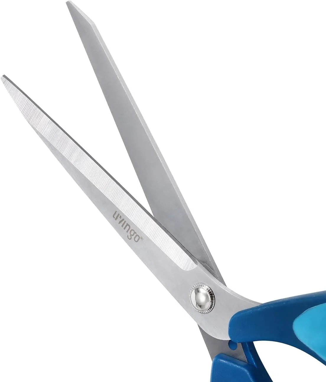 LIVINGO Set Forbici Cucito 9,5"+5"+4,5" Kit Blu