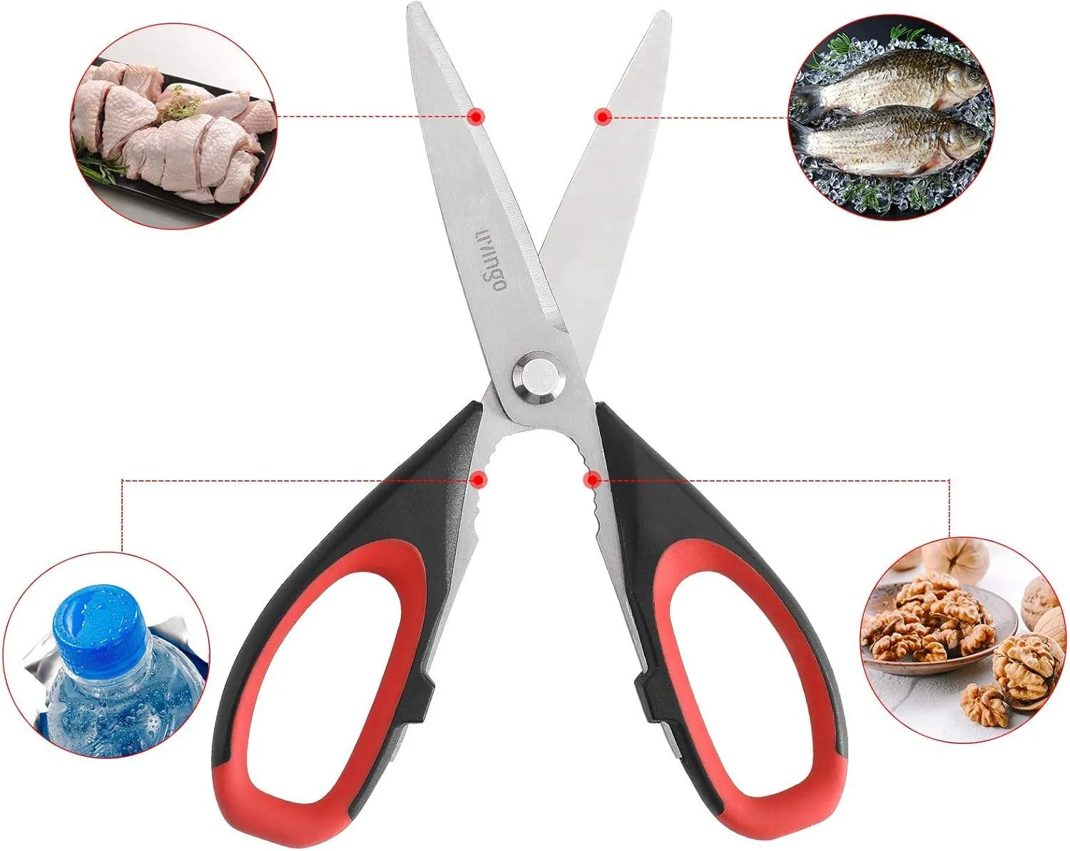 LIVINGO Forbici Cucina 8,5 Pollici Acciaio Multiuso