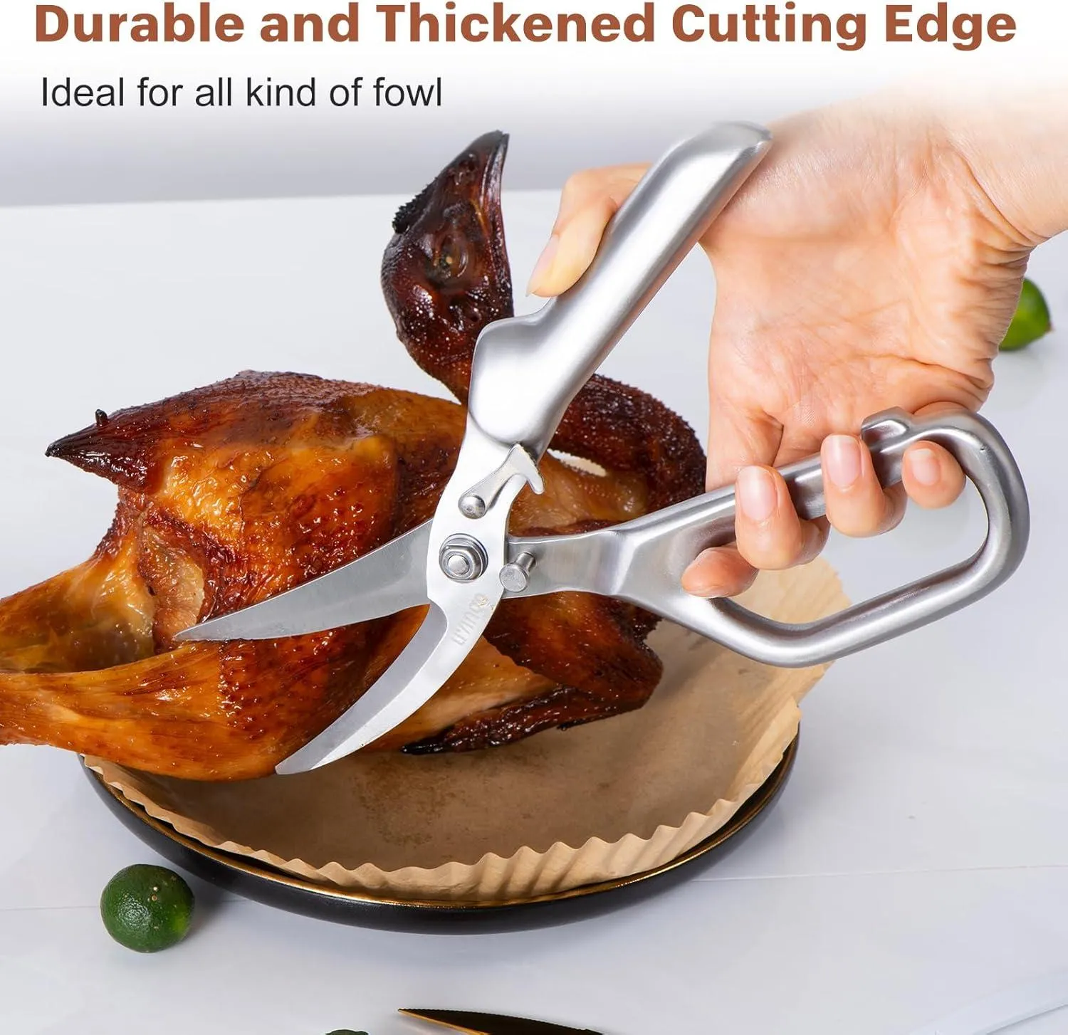 LIVINGO Forbici Cucina Forgiate 8,5" Pollo Smontabili