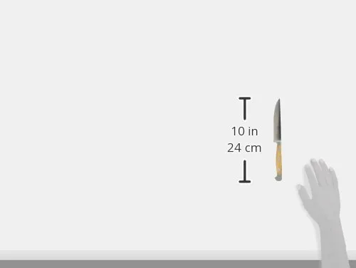 Güde Alpha Olive coltello bistecca 12 cm ulivo
