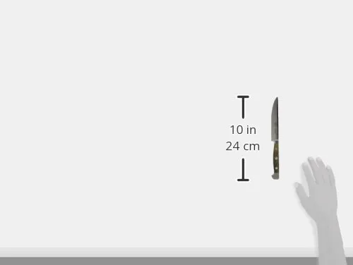 Güde Alpha Fasseiche coltello bistecca 12 cm quercia da botte