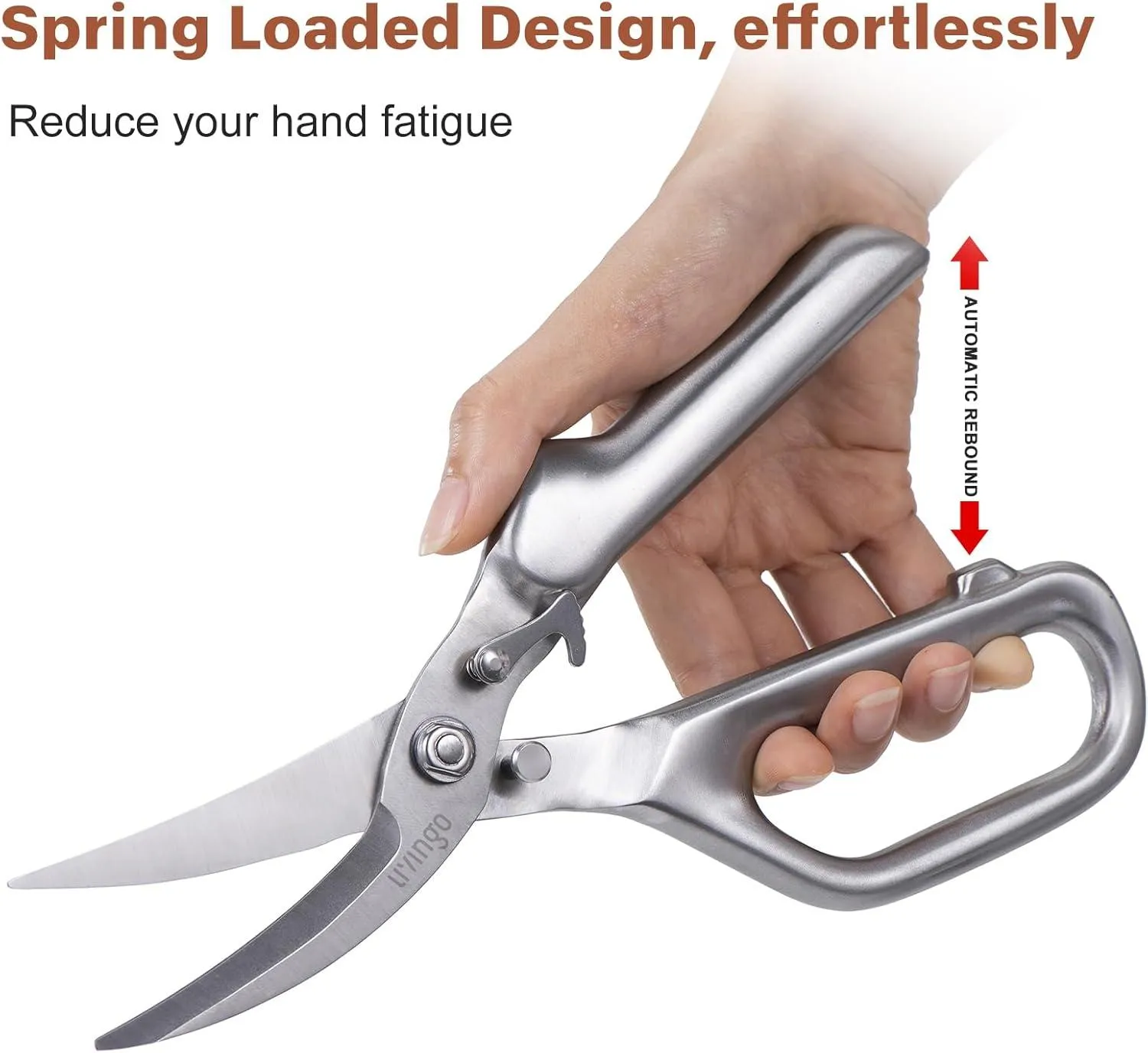 LIVINGO Forbici Cucina Forgiate 8,5" Pollo Smontabili