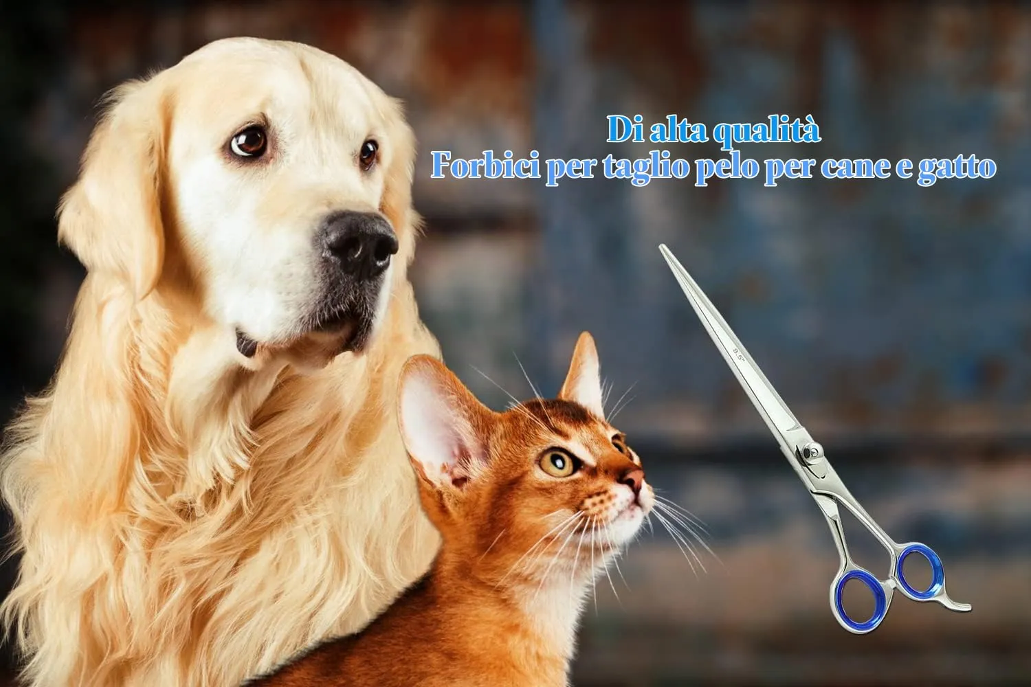 SMI Forbici Toelettatura Cani 8,5 Pollici Inox