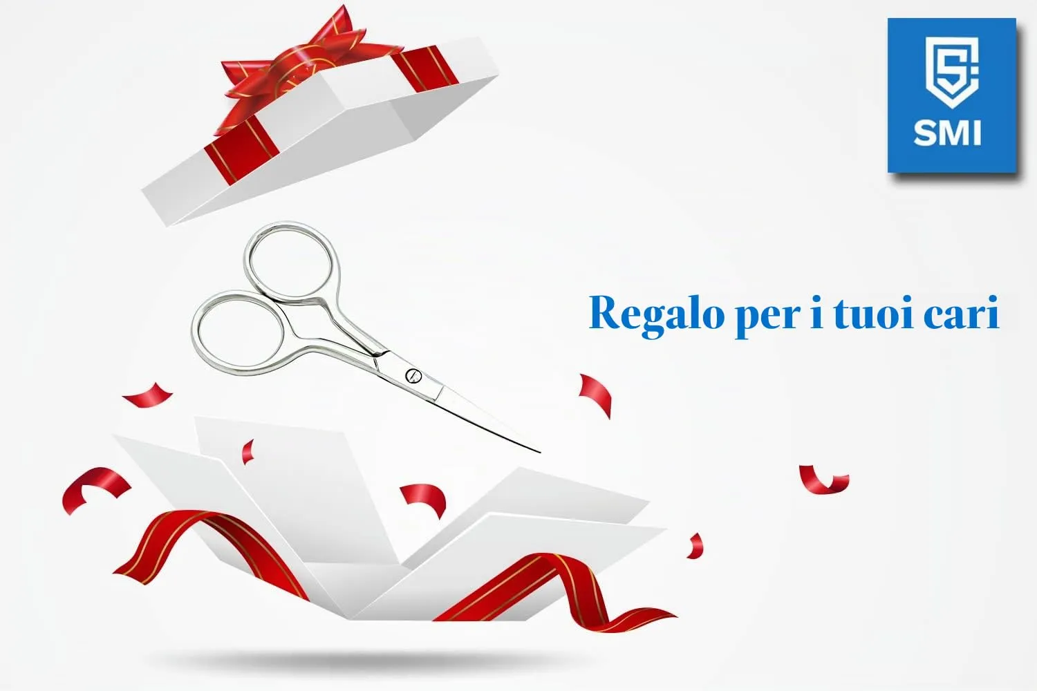 SMI Forbici Barba 9,5 cm Acciaio Custodia Lucida