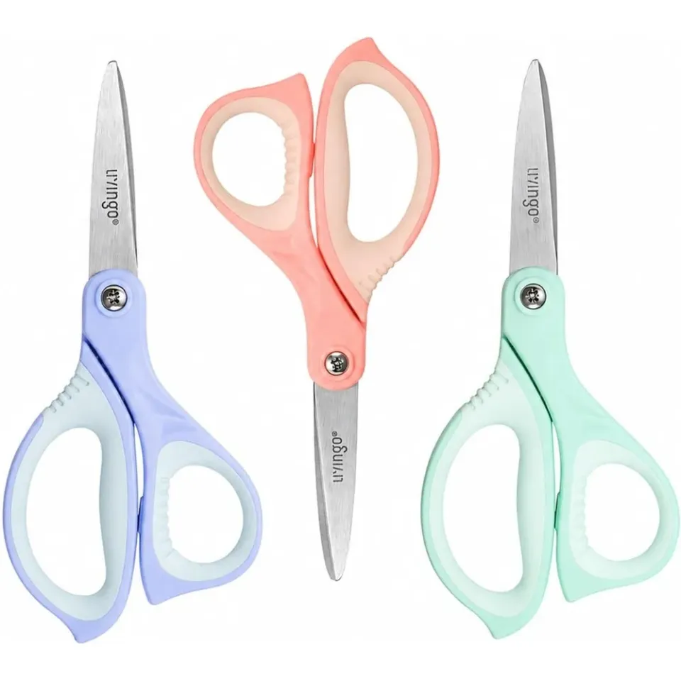 LIVINGO Forbici Bambini 6 Pollici Punta Appuntita Inox