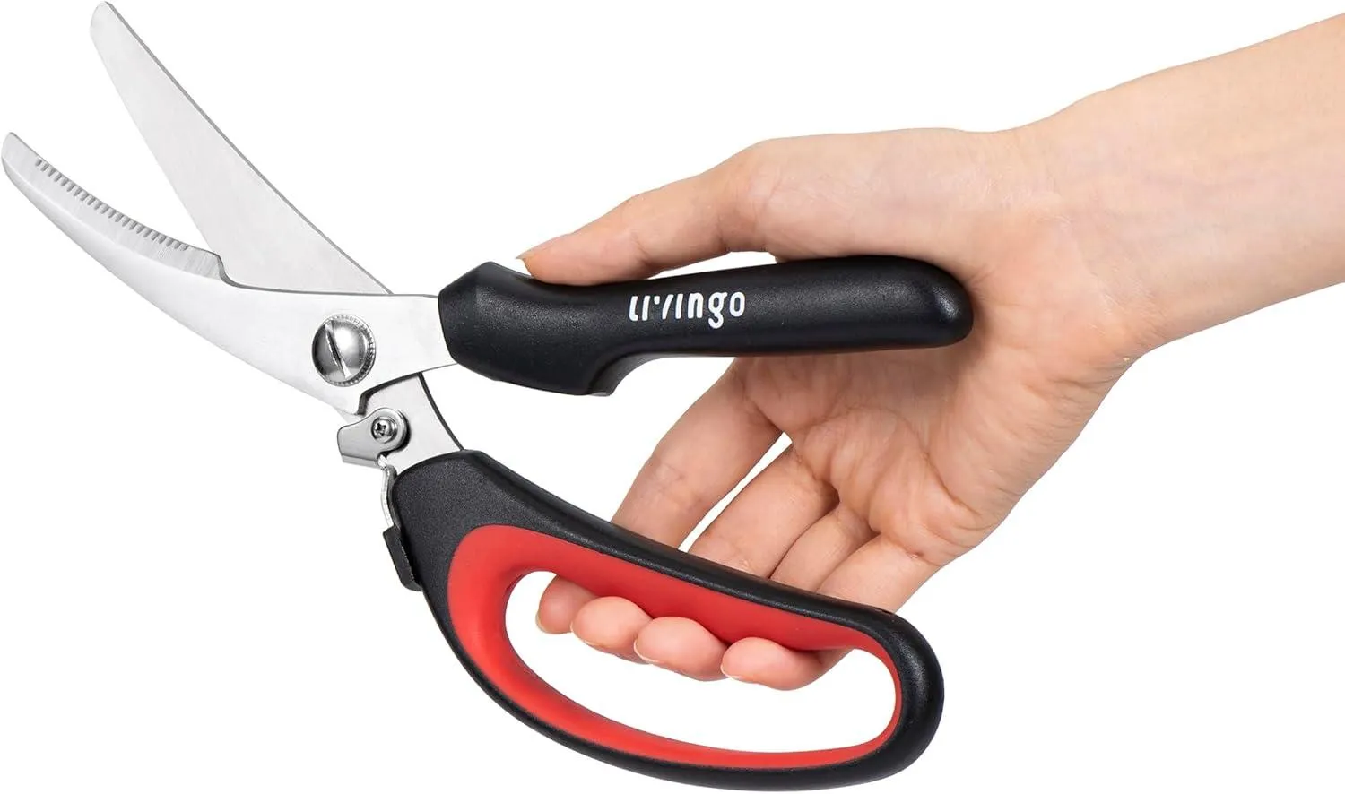 LIVINGO Set Forbici Multiuso 4 Pezzi Acciaio Inox