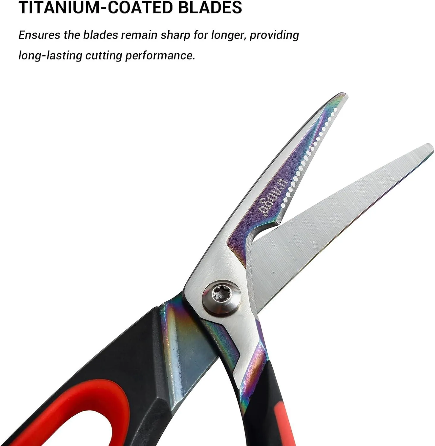 LIVINGO Cesoie Pollo 9.5" Titanio Inox Antiruggine