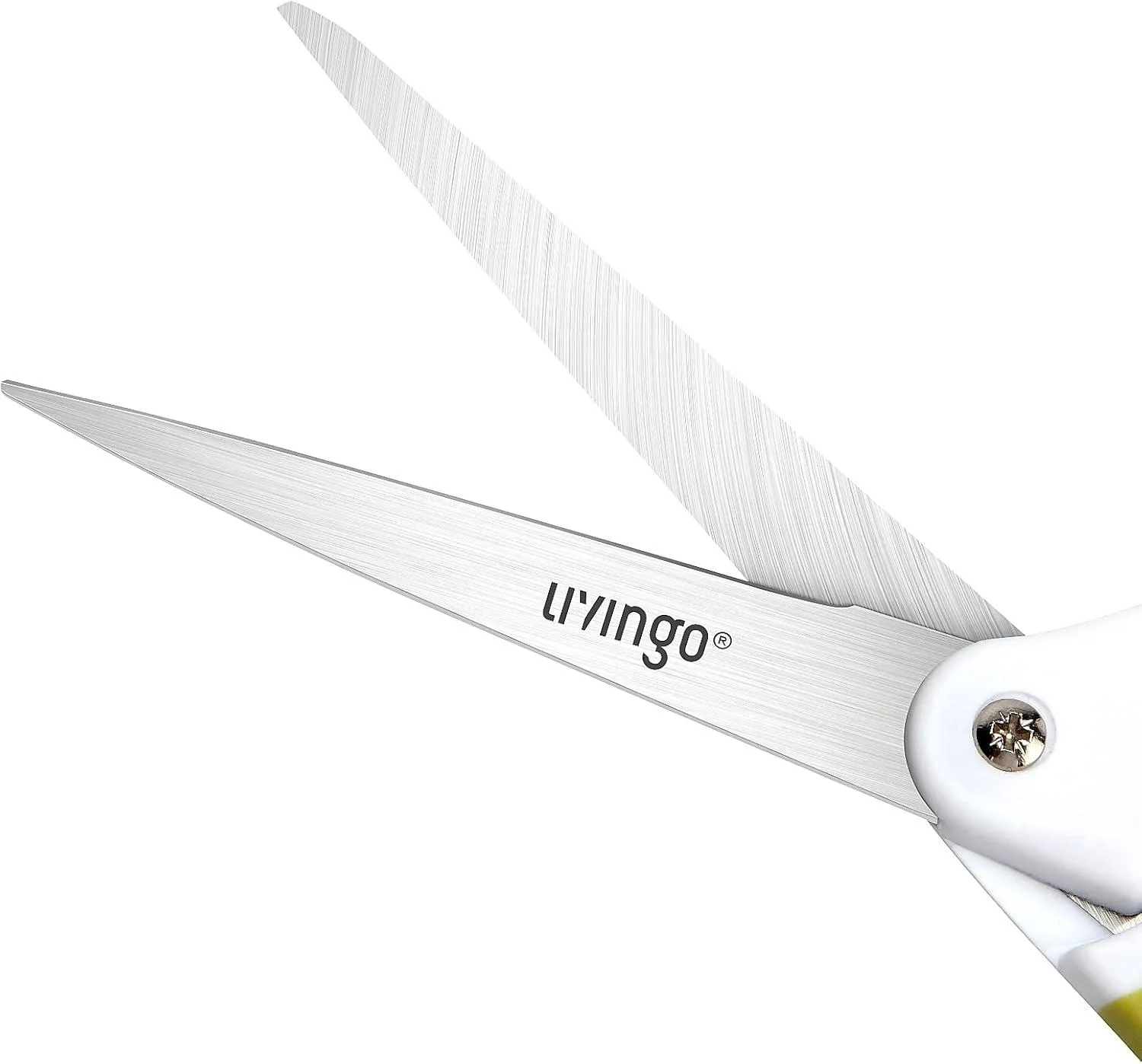 LIVINGO 10" Forbici Sarto a Molla Acciaio Verde