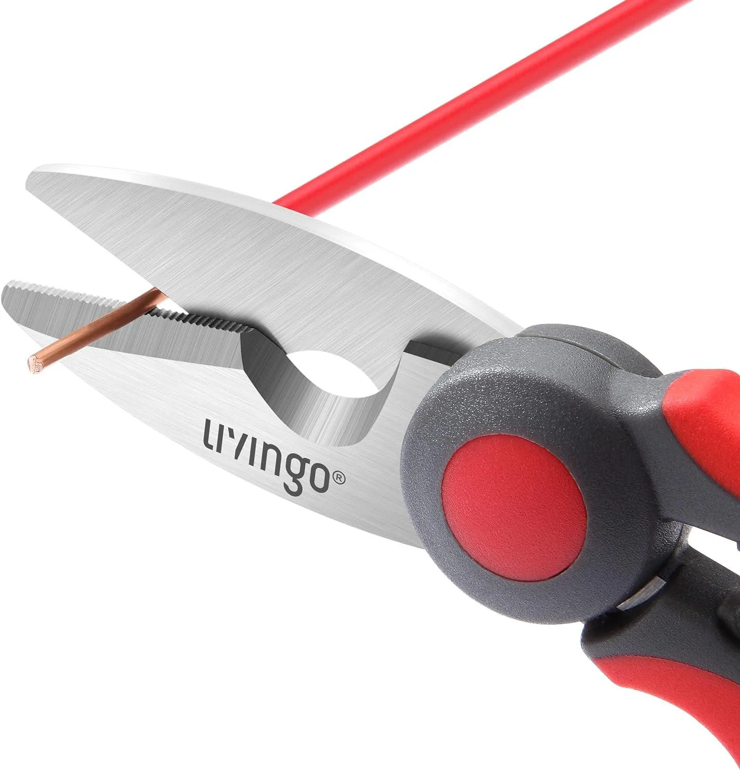 LIVINGO Forbici Elettricista Dentate 6 Pollici con Clip