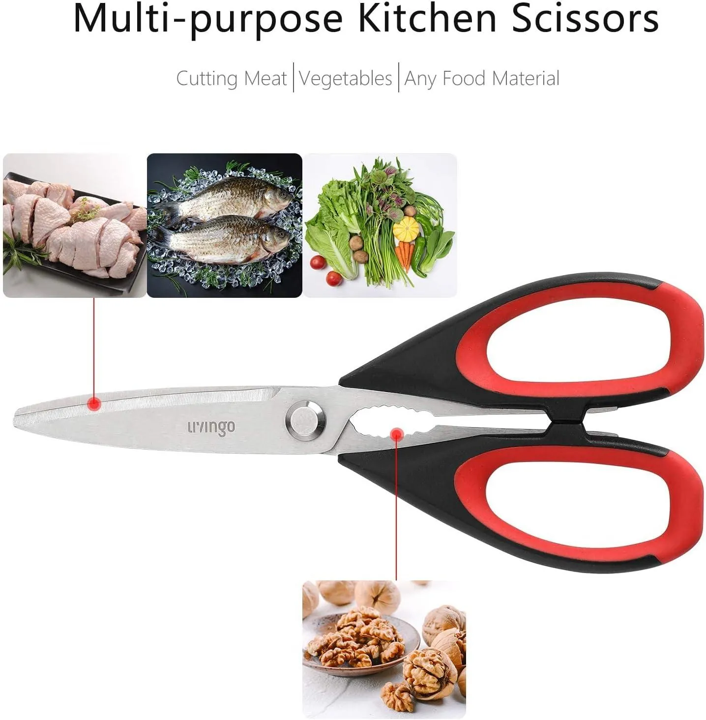 LIVINGO Forbici Cucina 8,5 Pollici Acciaio Multiuso