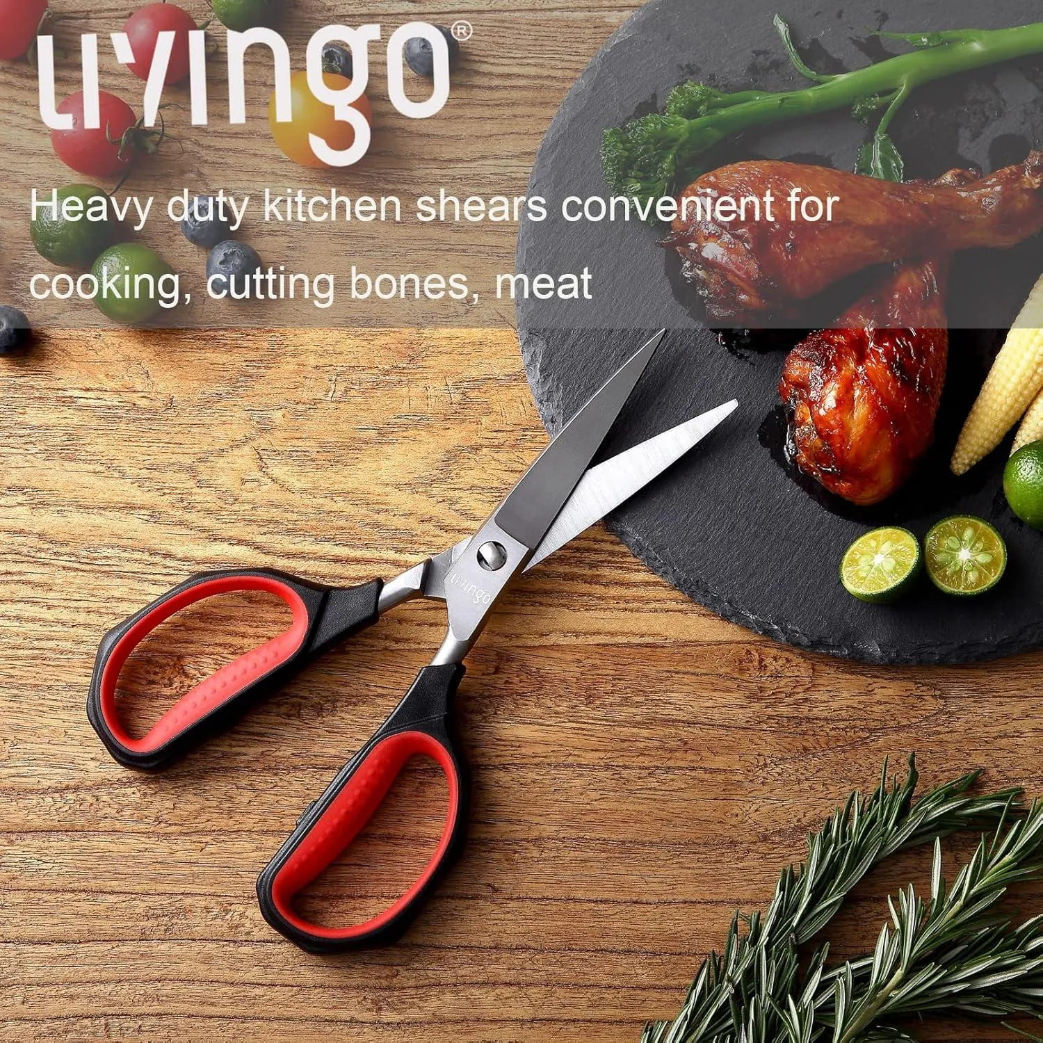 LIVINGO 9.5 Inch forbici cucina titanio smontabili